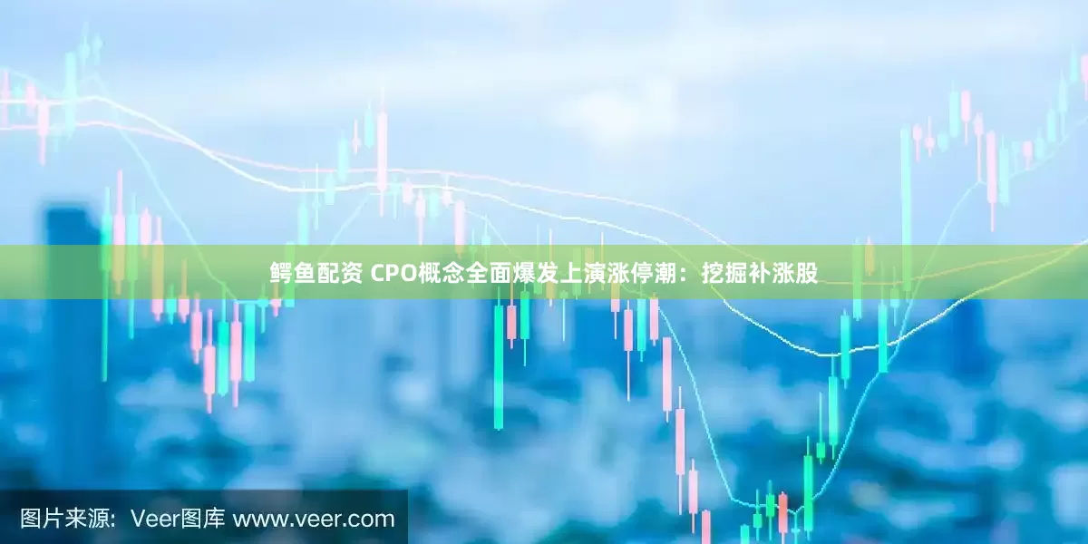 鳄鱼配资 CPO概念全面爆发上演涨停潮：挖掘补涨股
